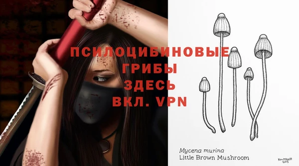 spice Магадан
