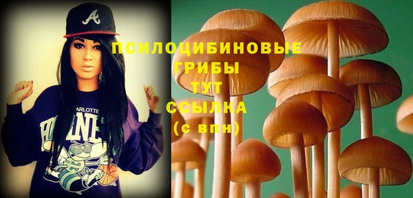 spice Магадан