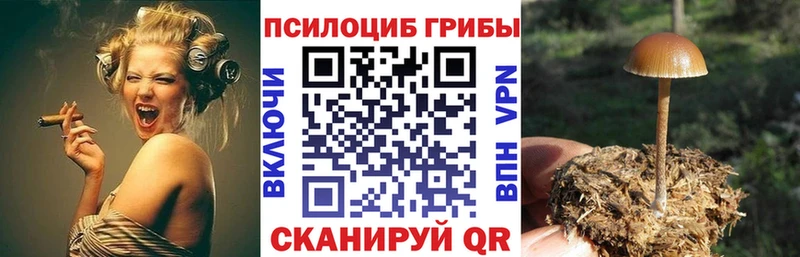 Галлюциногенные грибы ЛСД  кракен ССЫЛКА  Красково 